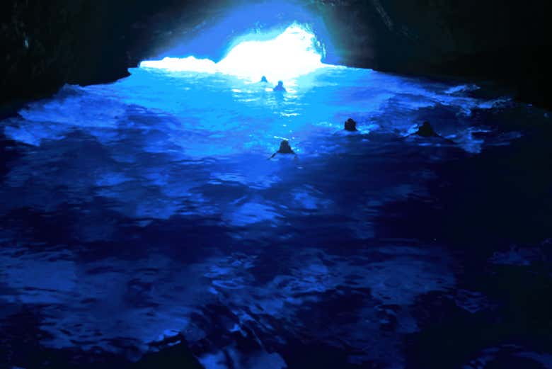 Imagen 6