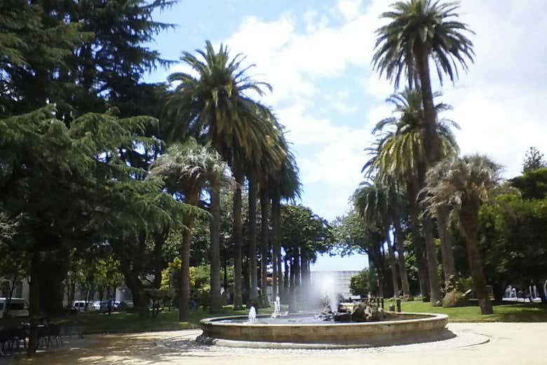 Imagen 6