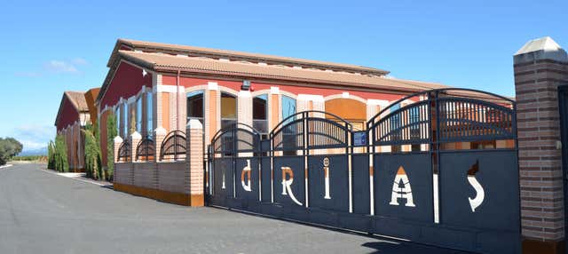 Visita alla cantina Idrias