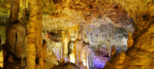 Entradas a las Cuevas Dels Hams
