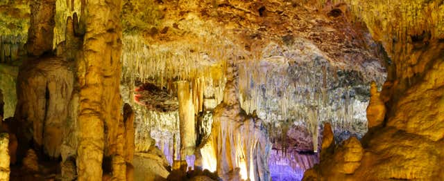 Entradas a las Cuevas Dels Hams