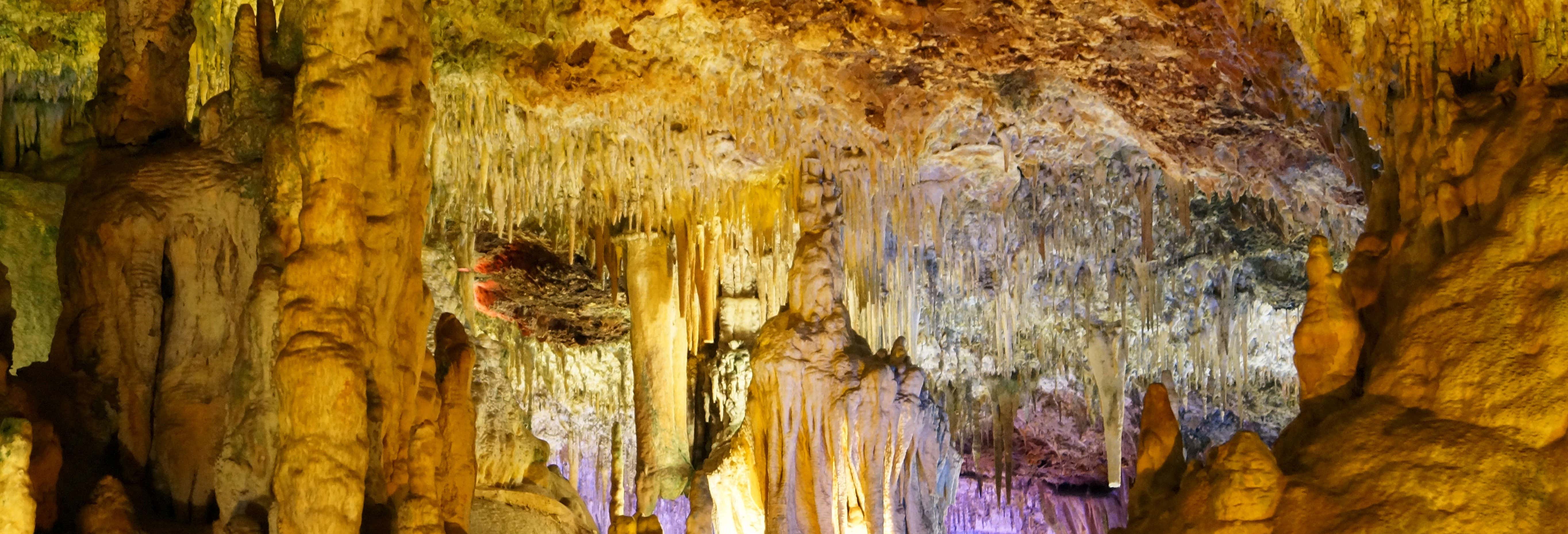 Entradas a las Cuevas Dels Hams