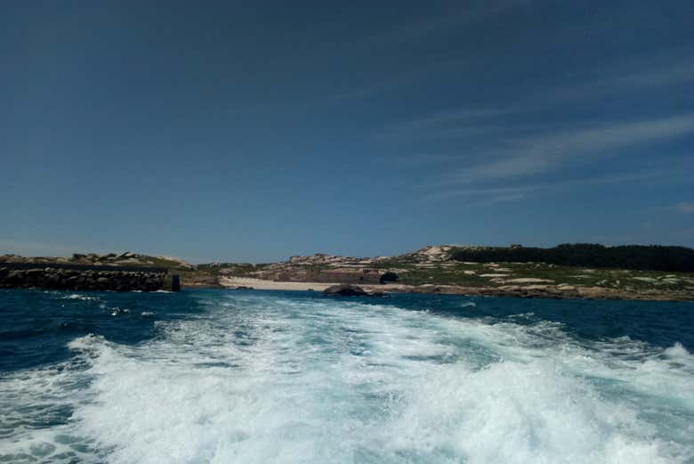 Imagen 7