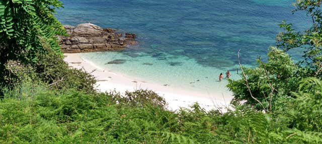 Transfer in barca all'isola di Ons