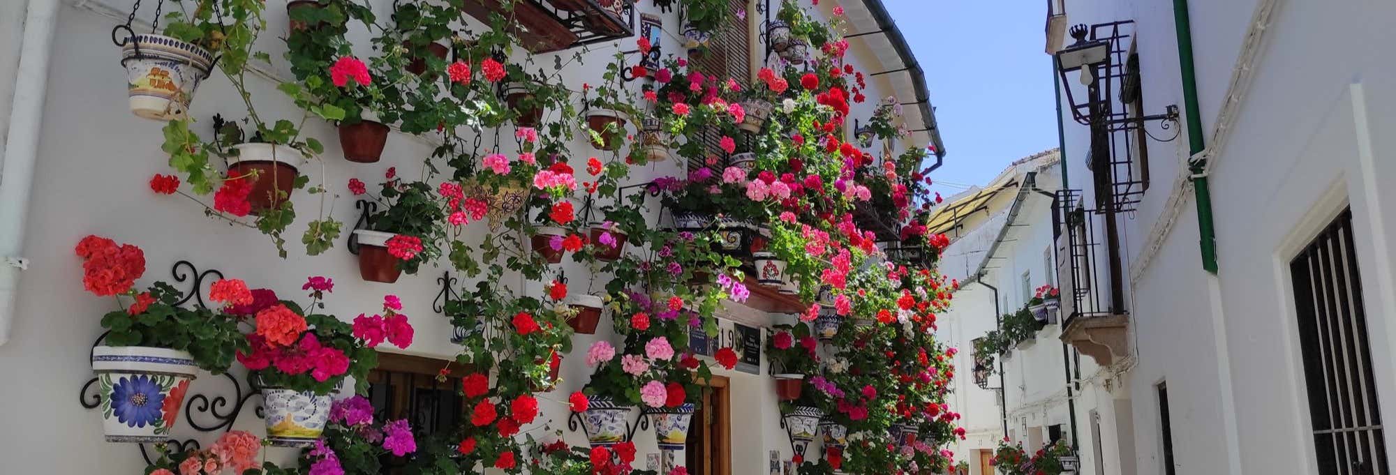 Free tour di Priego de Córdoba