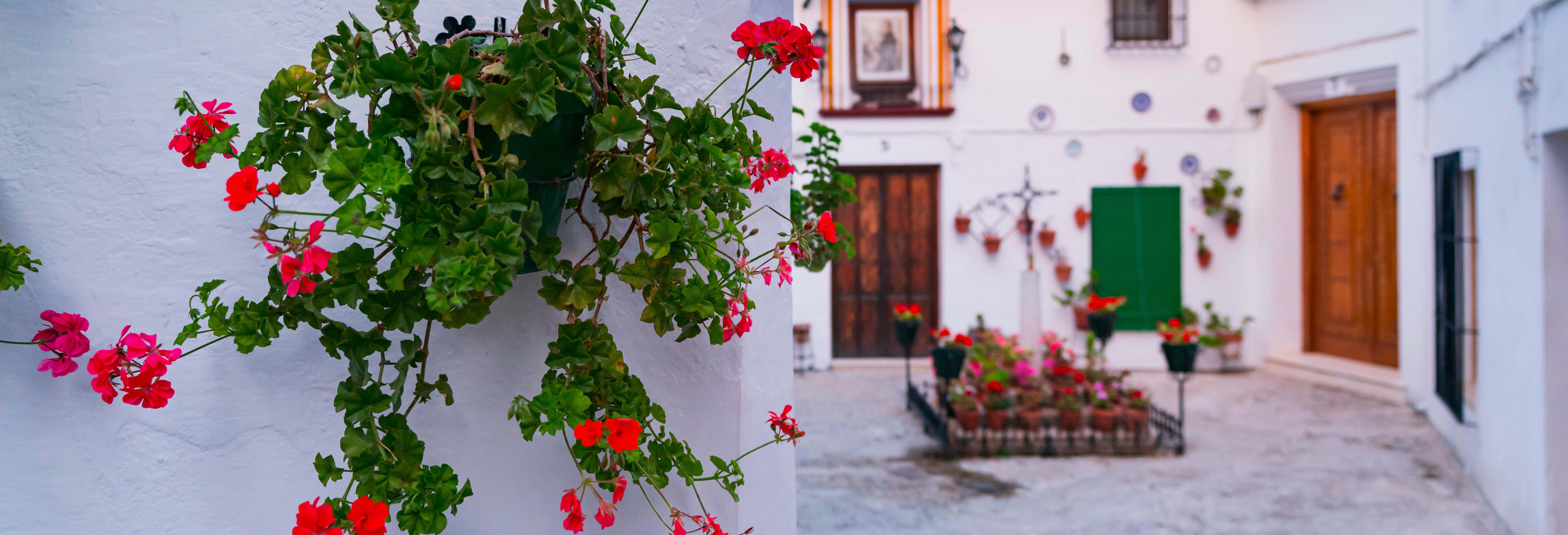 Visita guidata di Priego de Córdoba