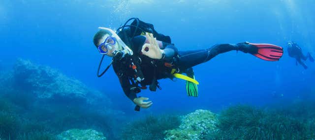 Immersione per principianti a Port d'Addaia