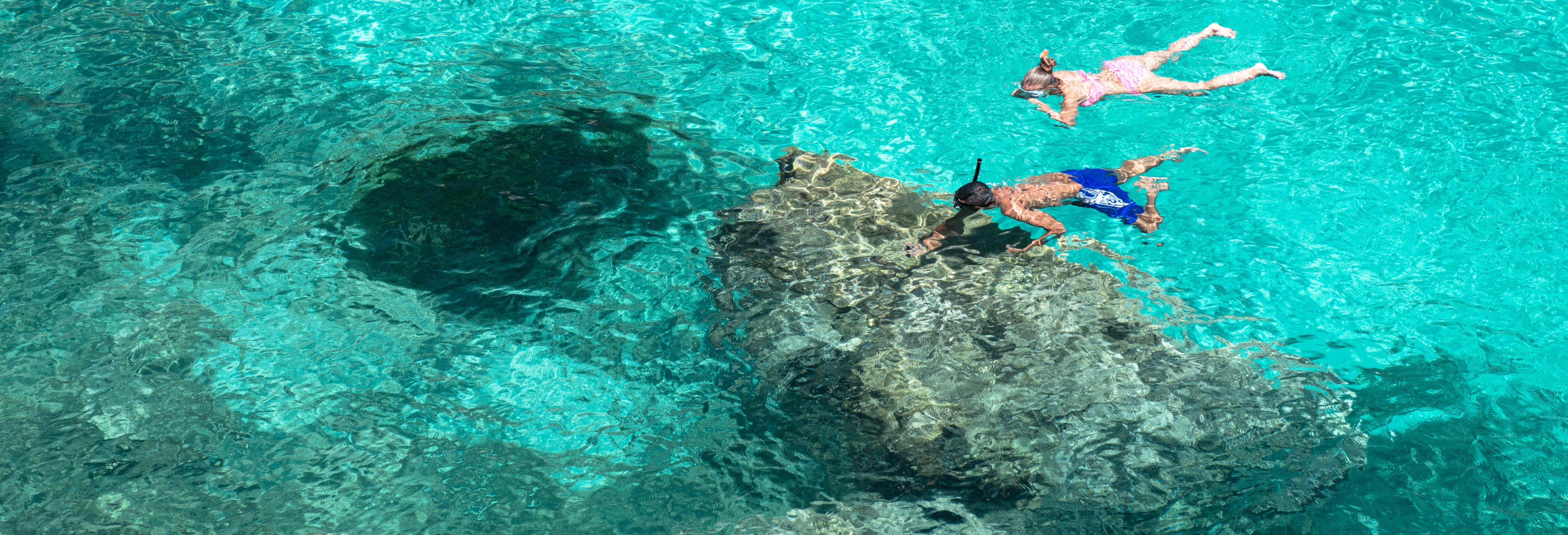 Snorkeling Tour