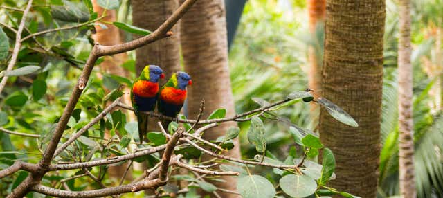 Biglietti per Loro Parque