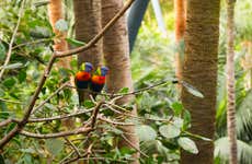 Loro Parque Tickets