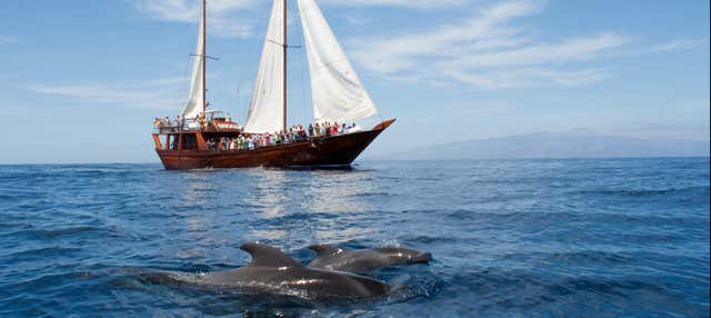 Giro in goletta con avvistamento di cetacei e pranzo