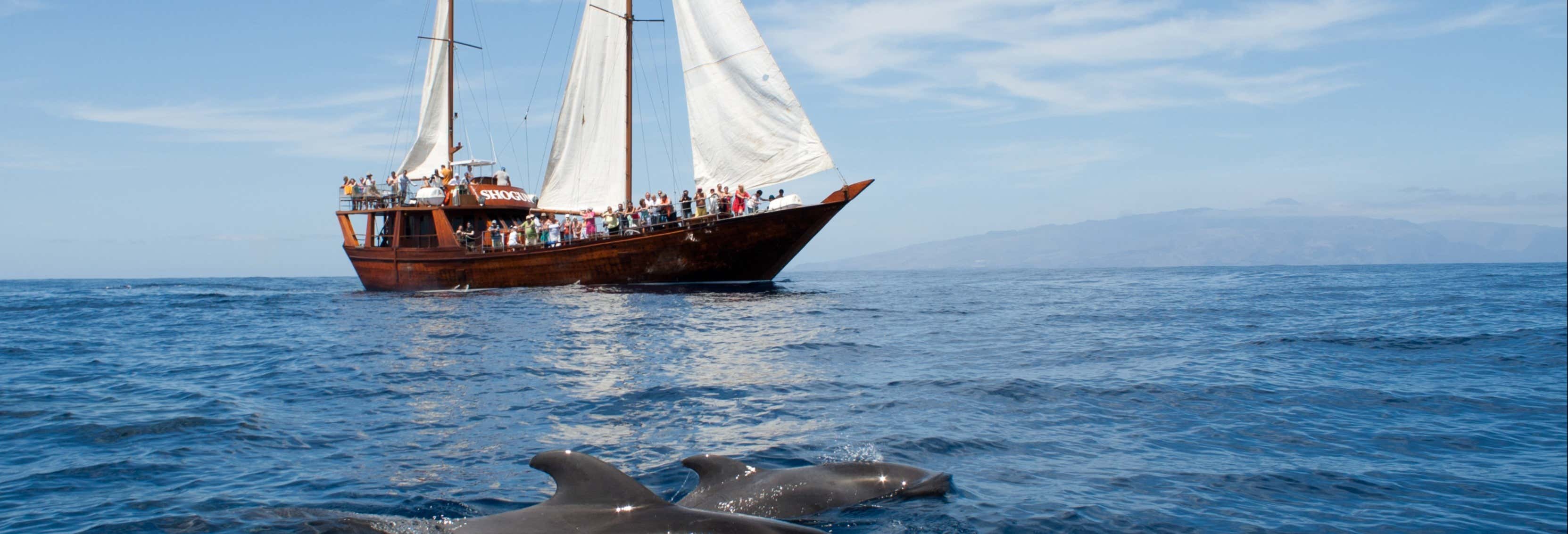 Schooner Boat Ride + Whale Watching