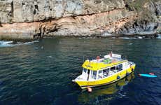 Paseo en barco por Puerto de Mogán + Snorkel