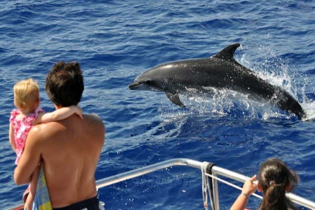 Wikitravel