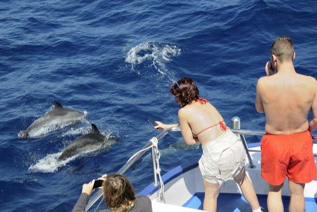 Imagen 7