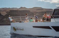 Catamaran Cruise from Puerto Rico
