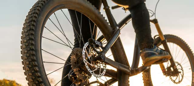 Tour delle paludi dell'Odiel in bicicletta