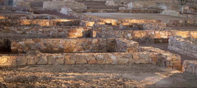 Biglietti per il Museo delle Ville Romane di Almenara-Puras