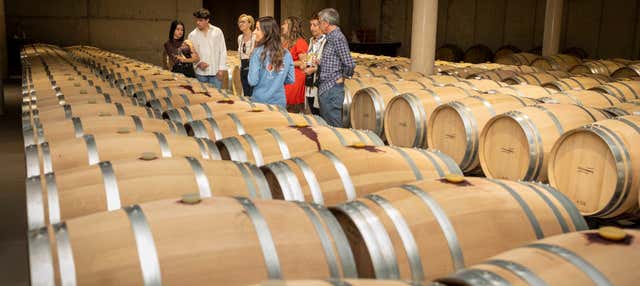 Visita alla cantina Sierra Norte