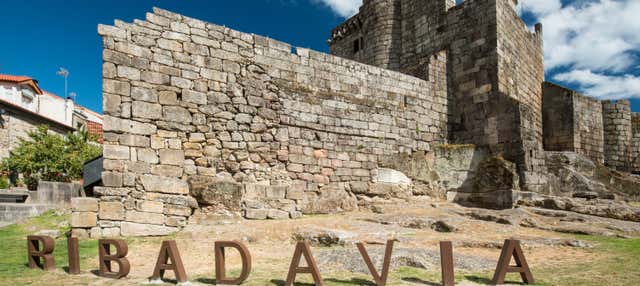 Free tour por Ribadavia