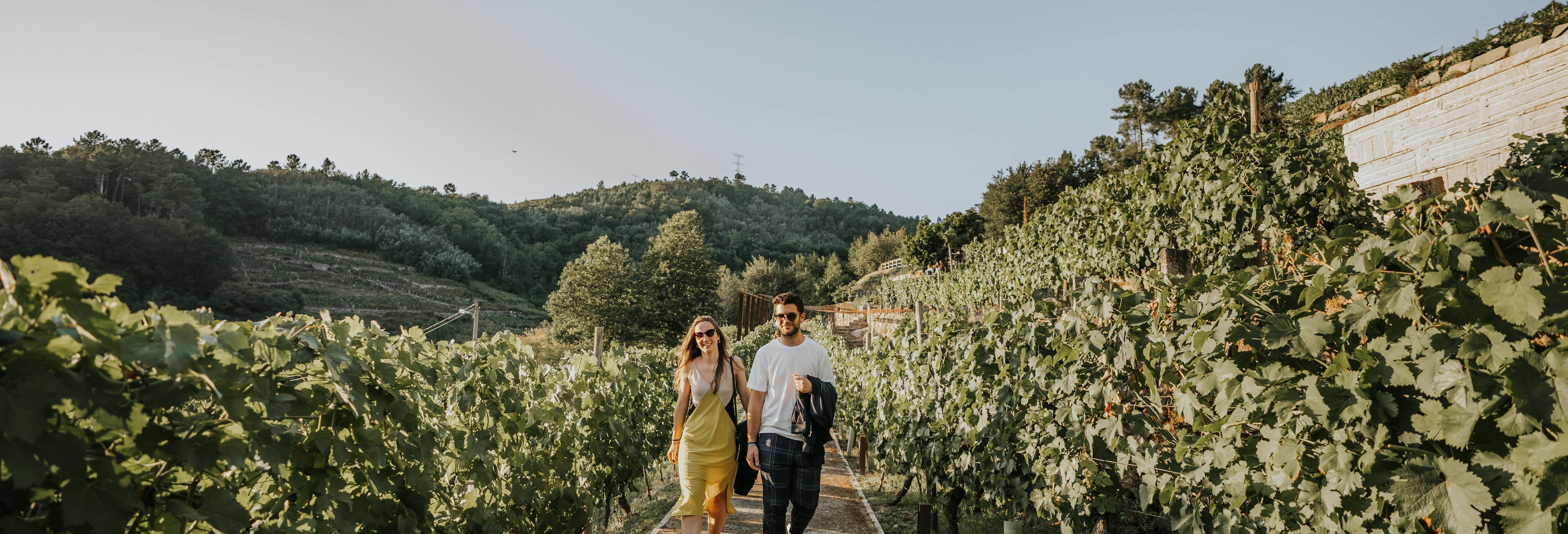 Visita alla cantina Pazo de Toubes