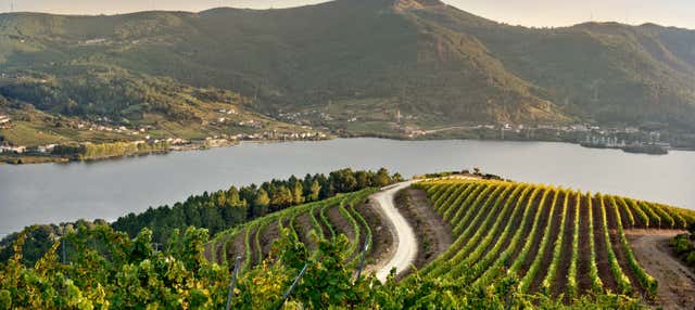 Visita della cantina Viña Costeira