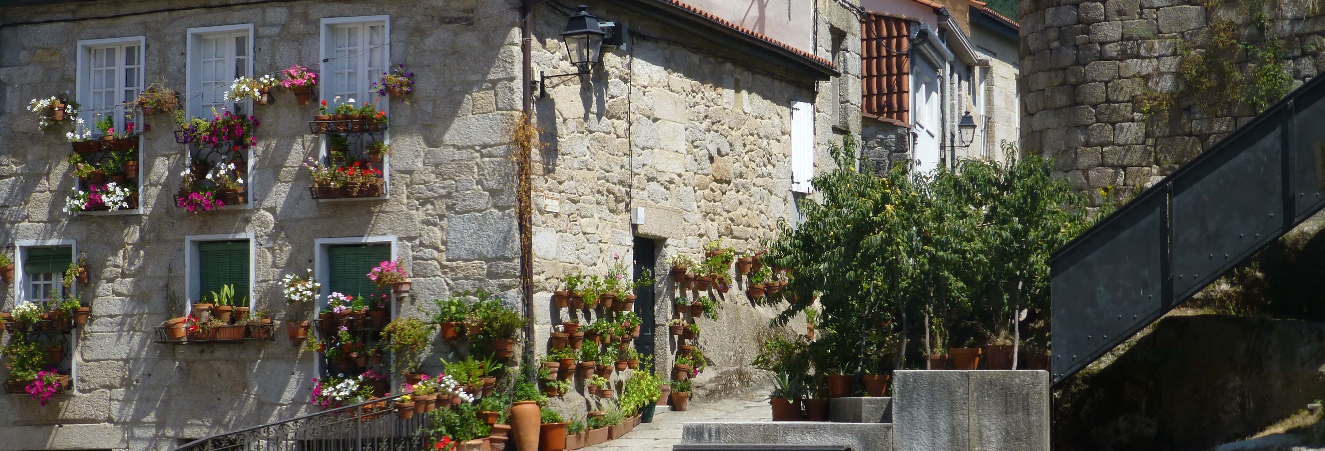 Visita guidata di Ribadavia