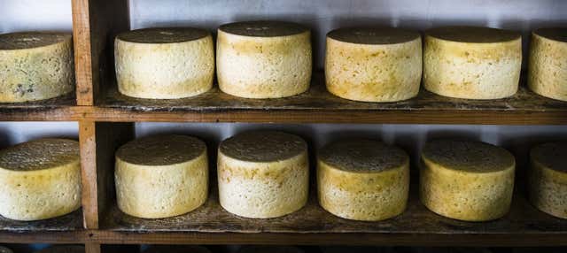 Degustazione di sidro e formaggio a Cuevas del Agua