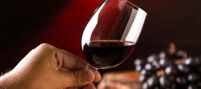 Visita delle cantine Durón