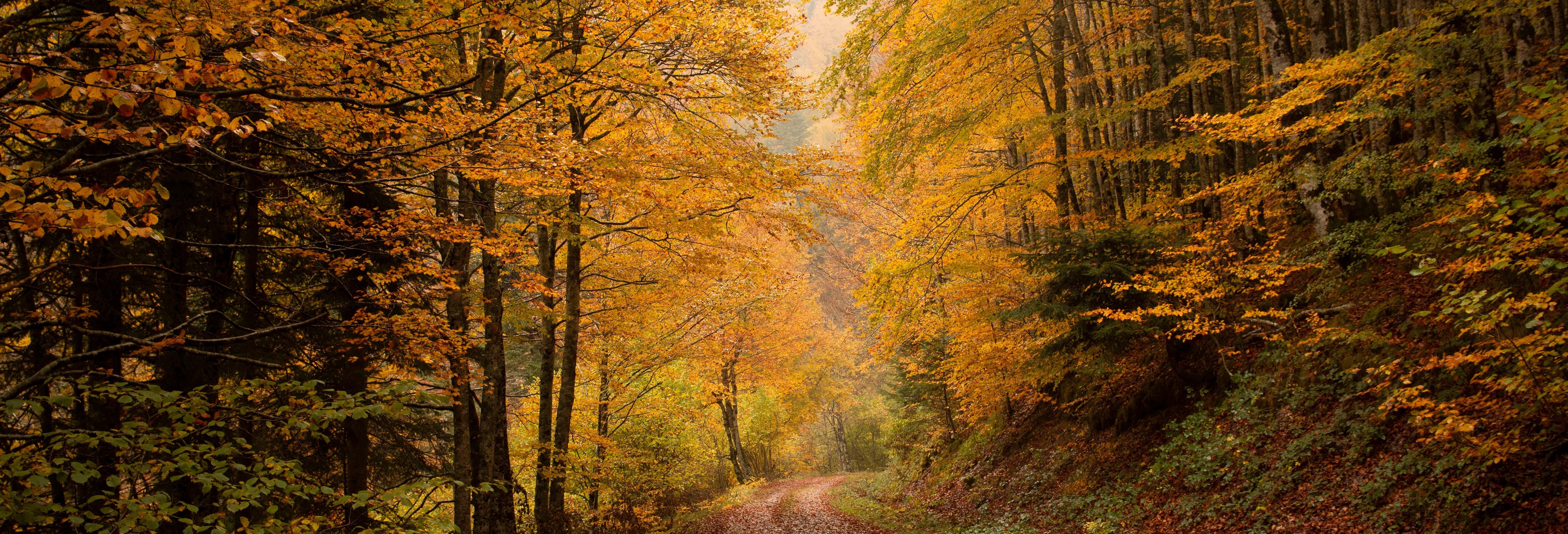 Irati Forest Electric Bike Route