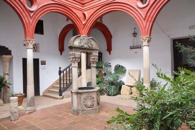 Imagen 8
