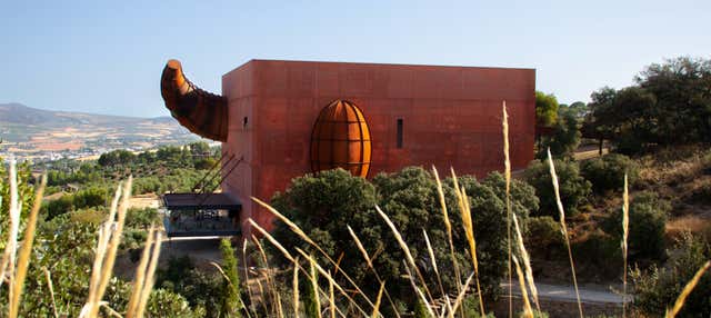 Visita all'azienda agricola LA Almazara con degustazione di olio d'oliva