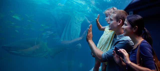 Biglietti per l'Aquarium Costa di Almeria