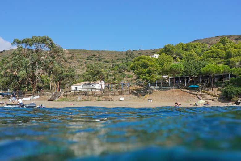 Imagen 4