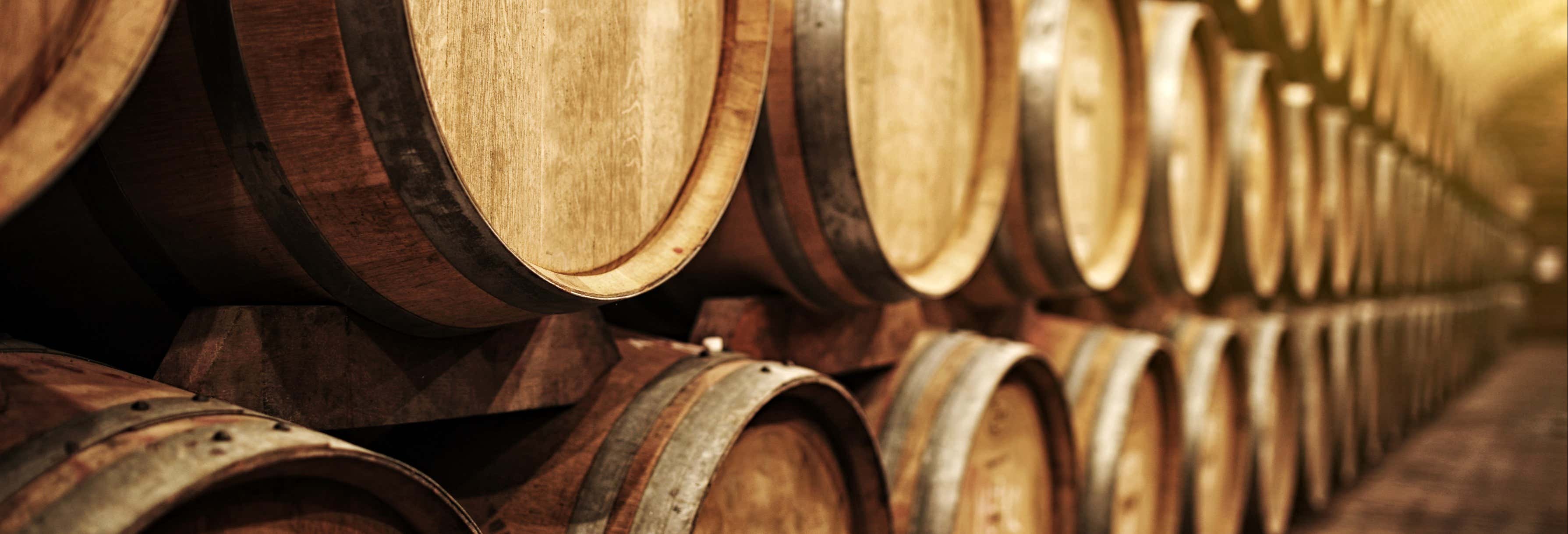 Visita alle cantine Yllera, El Hilo de Ariadna