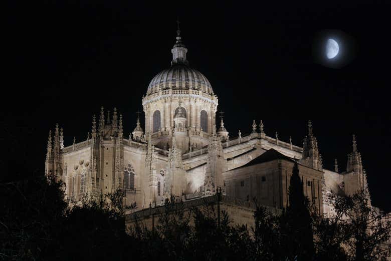 Imagen 4