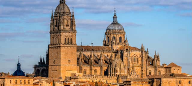 Visita guidata della cattedrale di Salamanca