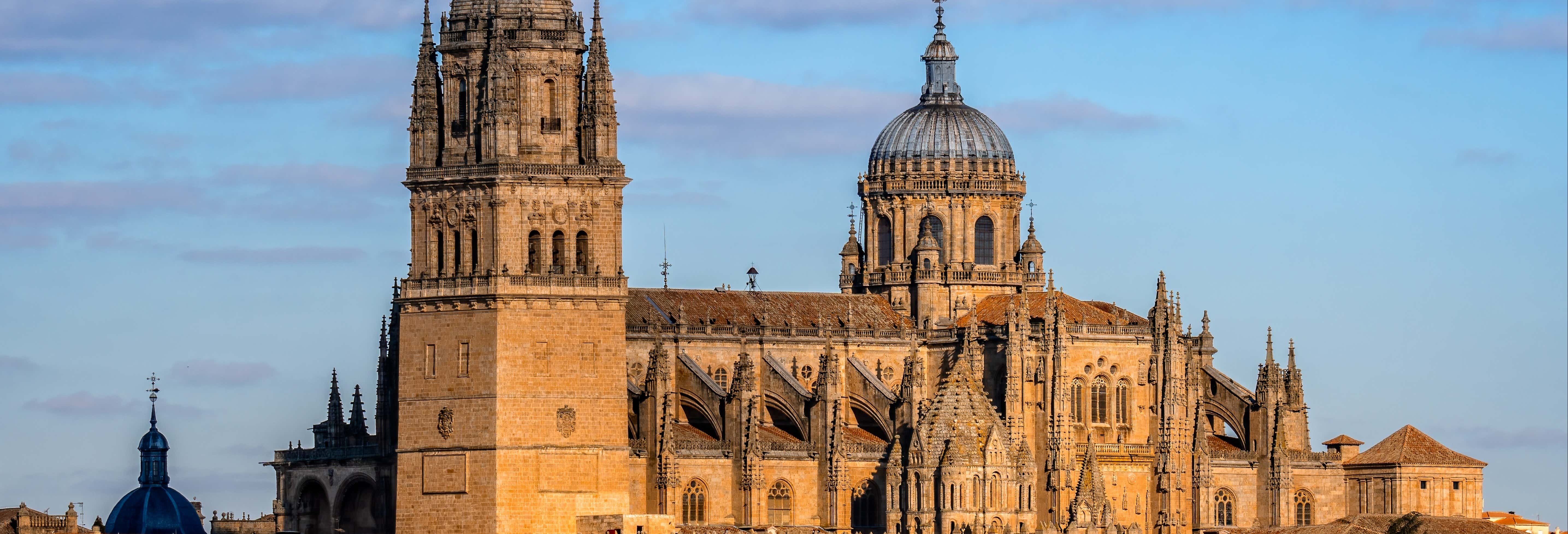 Visita guidata della cattedrale di Salamanca