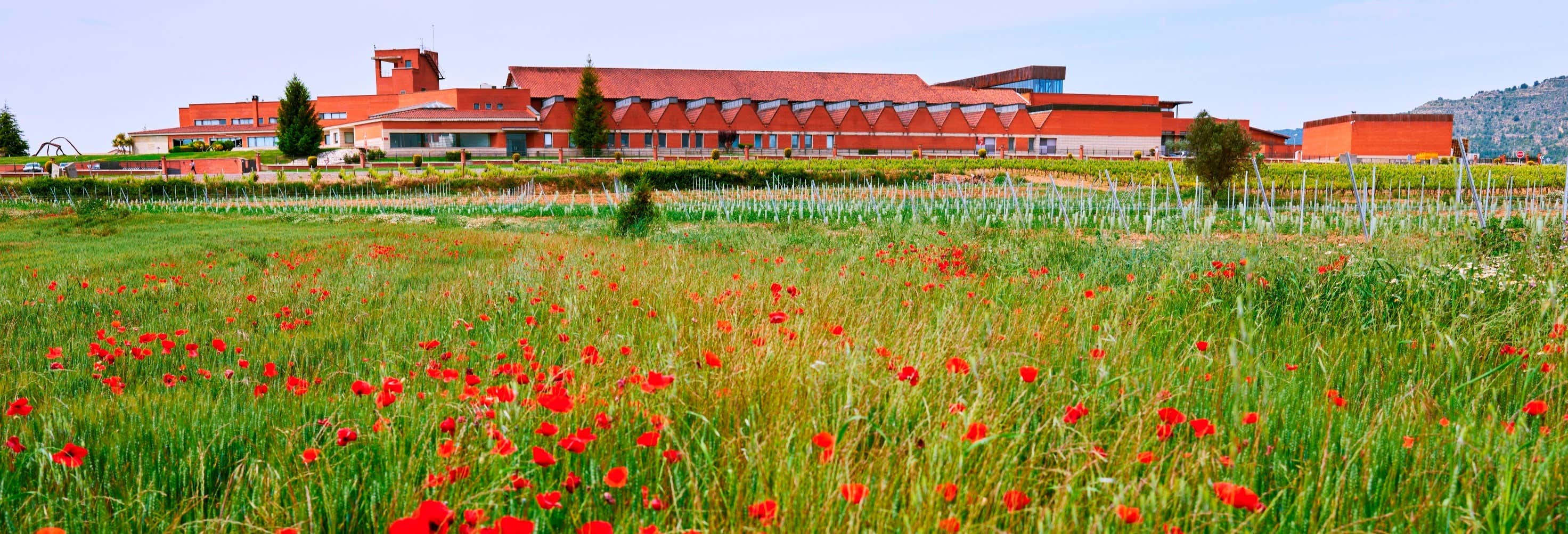 Visita della cantina ENATE