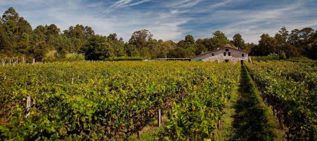 Visita alla cantina Corisca