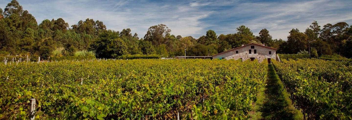 Visita alla cantina Corisca