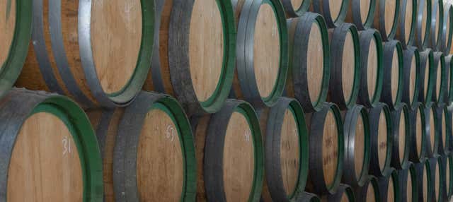 Visita delle cantine Ron El Mondero