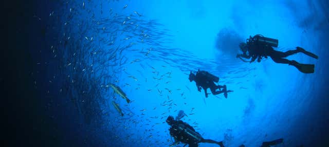 Immersione per principianti a Salou