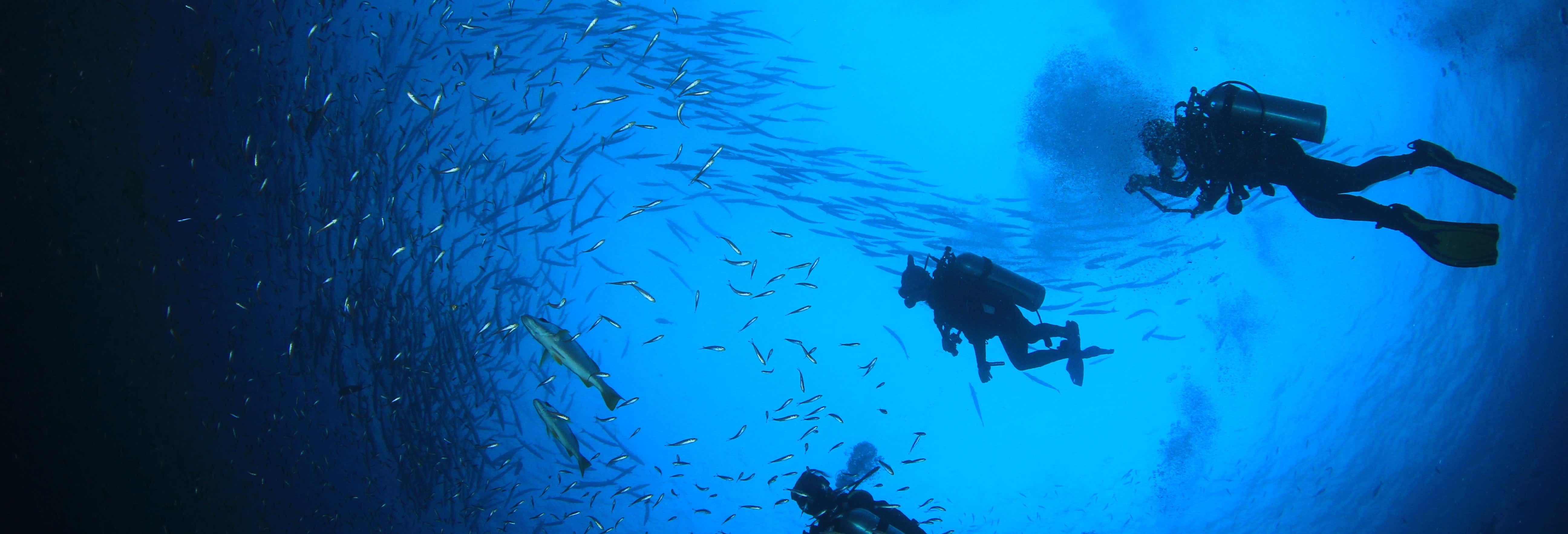 Immersione per principianti a Salou