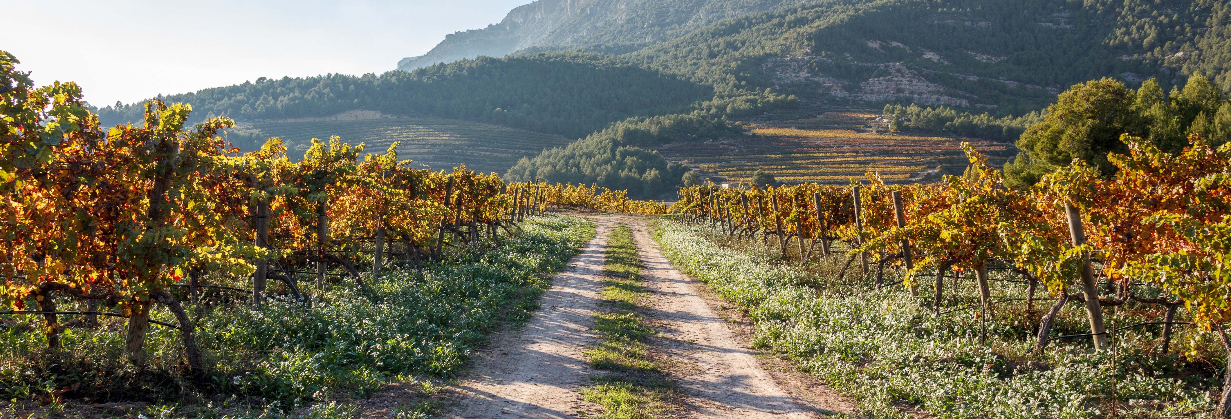 Tour of Priorat