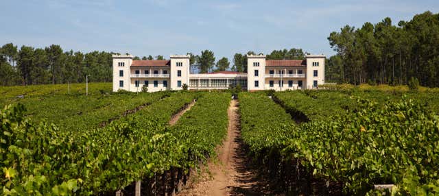 Visita a la bodega La Val