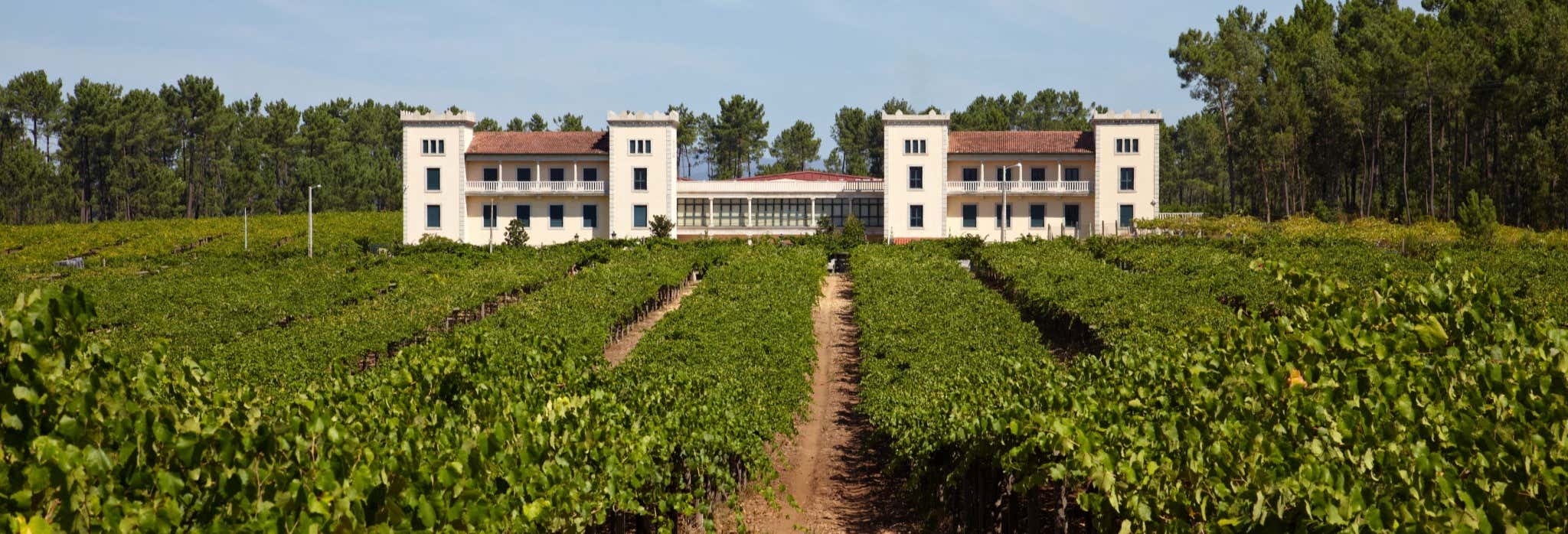 Visite de la bodega La Val