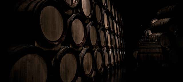 Visita a las bodegas Alútiz