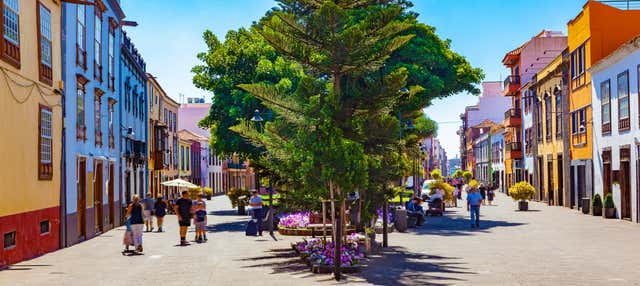 Free tour por La Laguna
