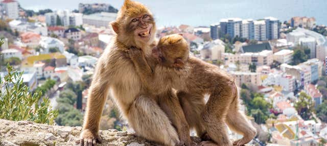 Escursione a Gibilterra